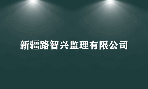 新疆路智兴监理有限公司