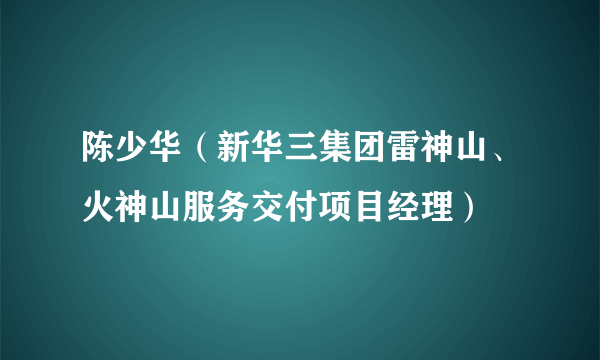 陈少华（新华三集团雷神山、火神山服务交付项目经理）