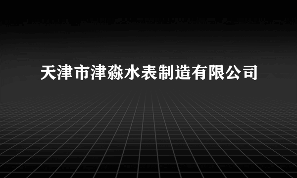 天津市津淼水表制造有限公司