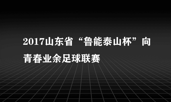 2017山东省“鲁能泰山杯”向青春业余足球联赛