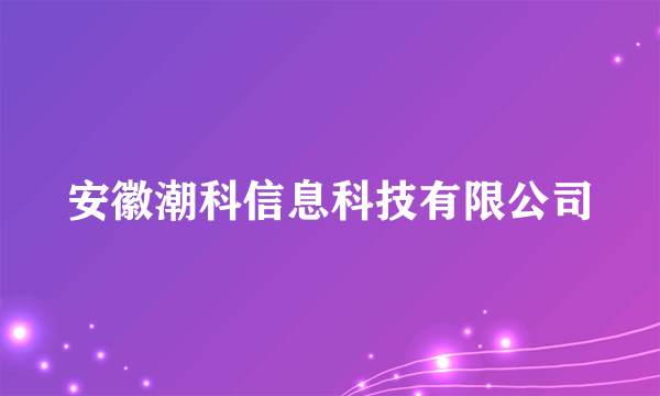 安徽潮科信息科技有限公司