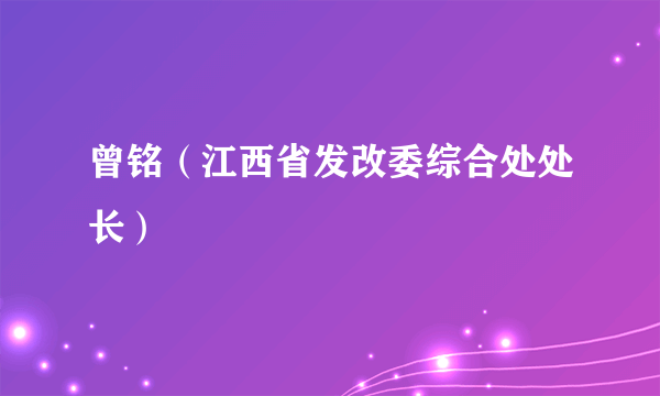 曾铭（江西省发改委综合处处长）