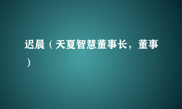 什么是迟晨（天夏智慧董事长，董事）