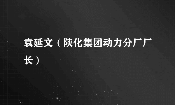 袁延文（陕化集团动力分厂厂长）