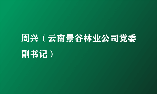 什么是周兴（云南景谷林业公司党委副书记）