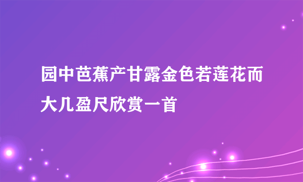 什么是园中芭蕉产甘露金色若莲花而大几盈尺欣赏一首