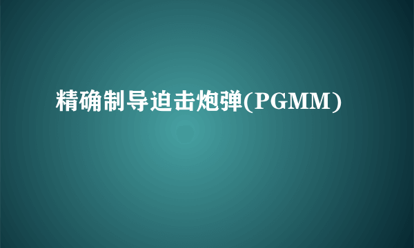 精确制导迫击炮弹(PGMM)