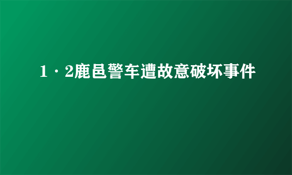 1·2鹿邑警车遭故意破坏事件