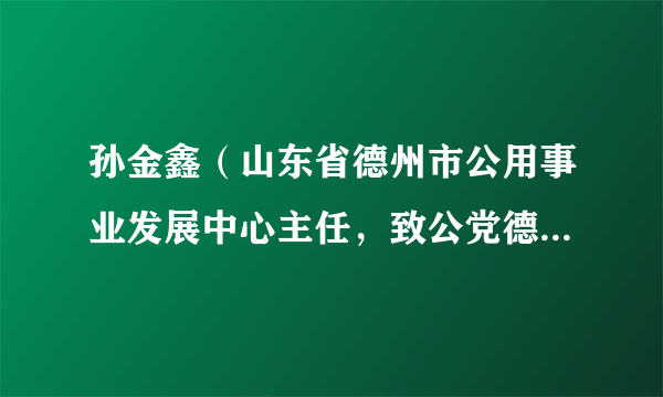 孙金鑫（山东省德州市公用事业发展中心主任，致公党德州市委会主委）