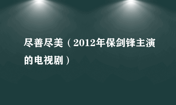 尽善尽美（2012年保剑锋主演的电视剧）