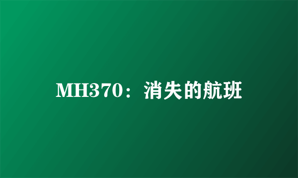 MH370：消失的航班