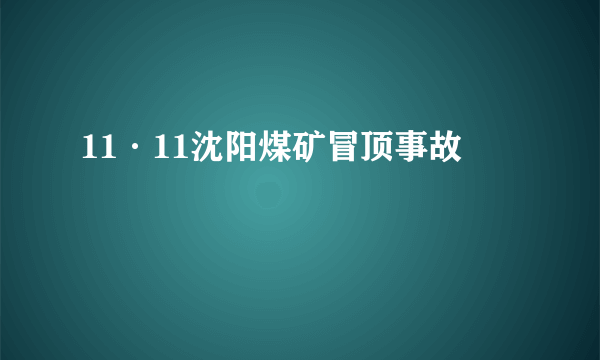 11·11沈阳煤矿冒顶事故