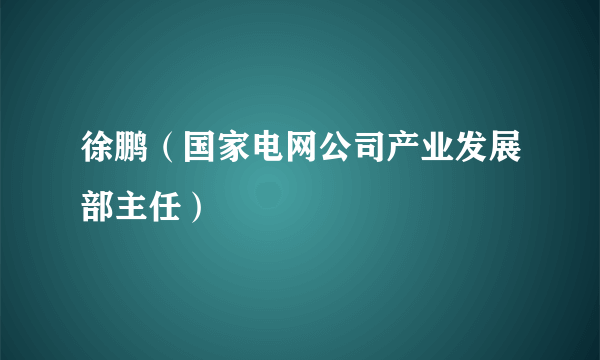 什么是徐鹏（国家电网公司产业发展部主任）