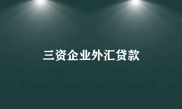 三资企业外汇贷款