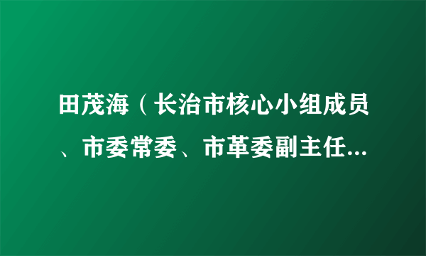 田茂海（长治市核心小组成员、市委常委、市革委副主任、副市长）