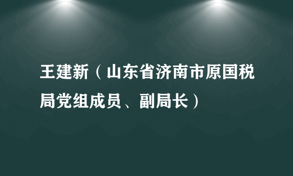 王建新（山东省济南市原国税局党组成员、副局长）