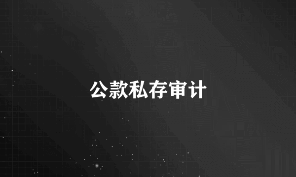 什么是公款私存审计