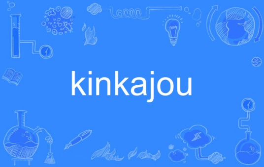 kinkajou（英语单词）