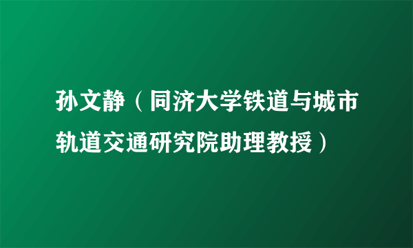 孙文静（同济大学铁道与城市轨道交通研究院助理教授）