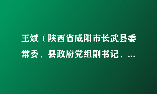 王斌（陕西省咸阳市长武县委常委、县政府党组副书记、常务副县长）