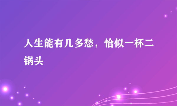 人生能有几多愁，恰似一杯二锅头