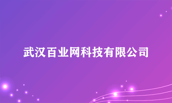 武汉百业网科技有限公司