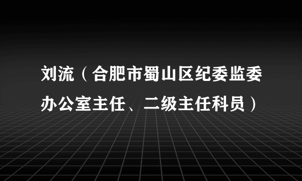 刘流（合肥市蜀山区纪委监委办公室主任、二级主任科员）