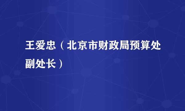 王爱忠（北京市财政局预算处副处长）