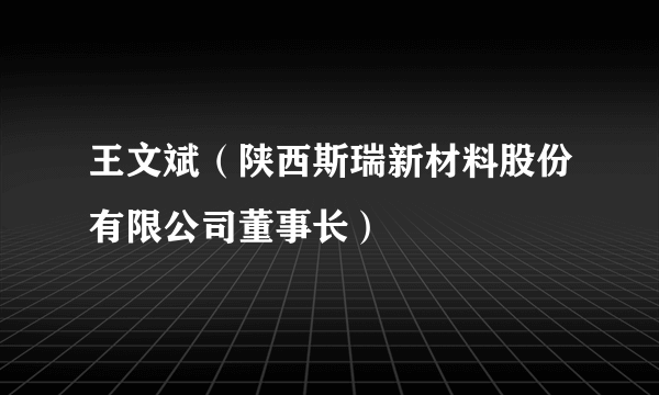 王文斌（陕西斯瑞新材料股份有限公司董事长）