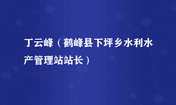 什么是丁云峰（鹤峰县下坪乡水利水产管理站站长）