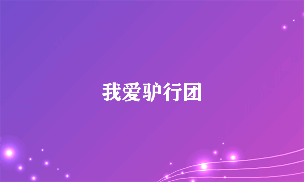 什么是我爱驴行团