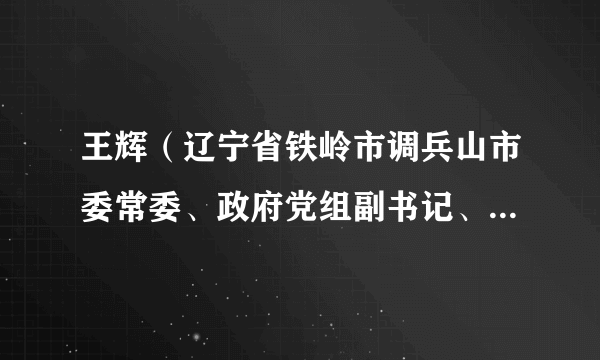 什么是王辉（辽宁省铁岭市调兵山市委常委、政府党组副书记、常务副市长）