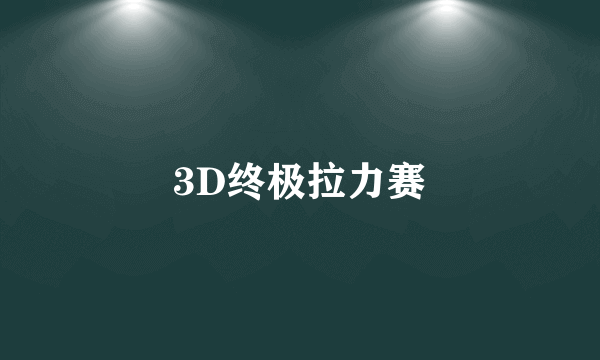 3D终极拉力赛