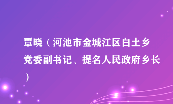 覃晓（河池市金城江区白土乡党委副书记、提名人民政府乡长）