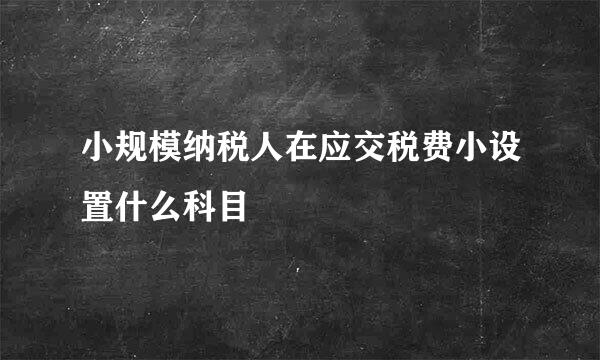 小规模纳税人在应交税费小设置什么科目