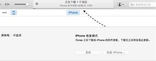 苹果iphone7手机忘记id密码id怎么解锁