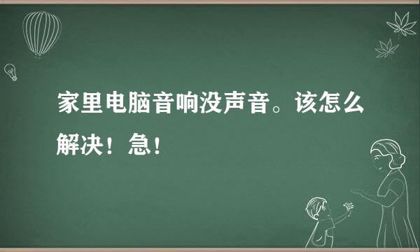 家里电脑音响没声音。该怎么解决！急！