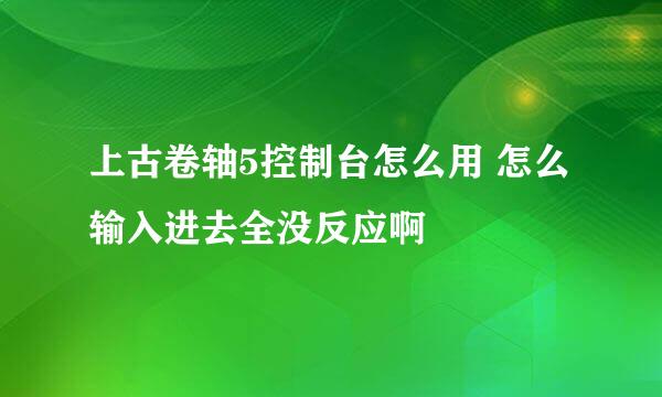 上古卷轴5控制台怎么用 怎么输入进去全没反应啊