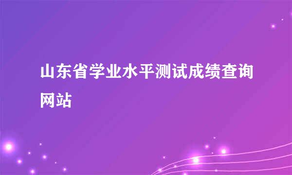 山东省学业水平测试成绩查询网站