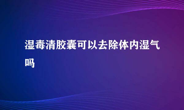 湿毒清胶囊可以去除体内湿气吗