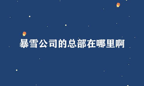 暴雪公司的总部在哪里啊