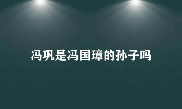 冯巩是冯国璋的孙子吗