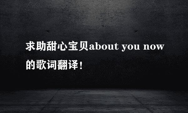 求助甜心宝贝about you now的歌词翻译！