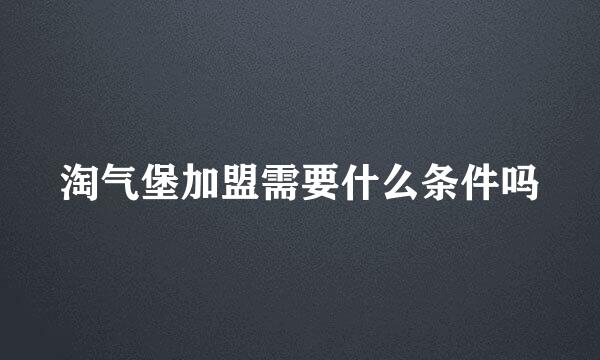 淘气堡加盟需要什么条件吗