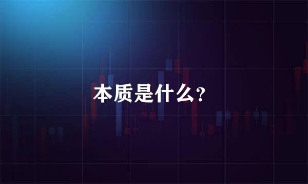 本质是什么？