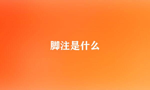 脚注是什么