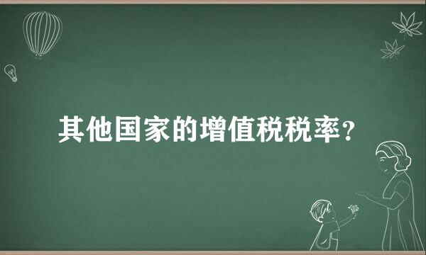 其他国家的增值税税率？