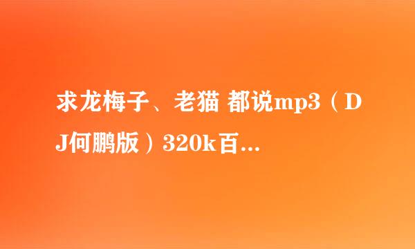 求龙梅子、老猫 都说mp3（DJ何鹏版）320k百度网盘链接