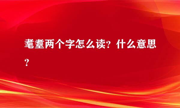 耄耋两个字怎么读？什么意思？