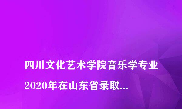 
四川文化艺术学院音乐学专业2020年在山东省录取多少人
